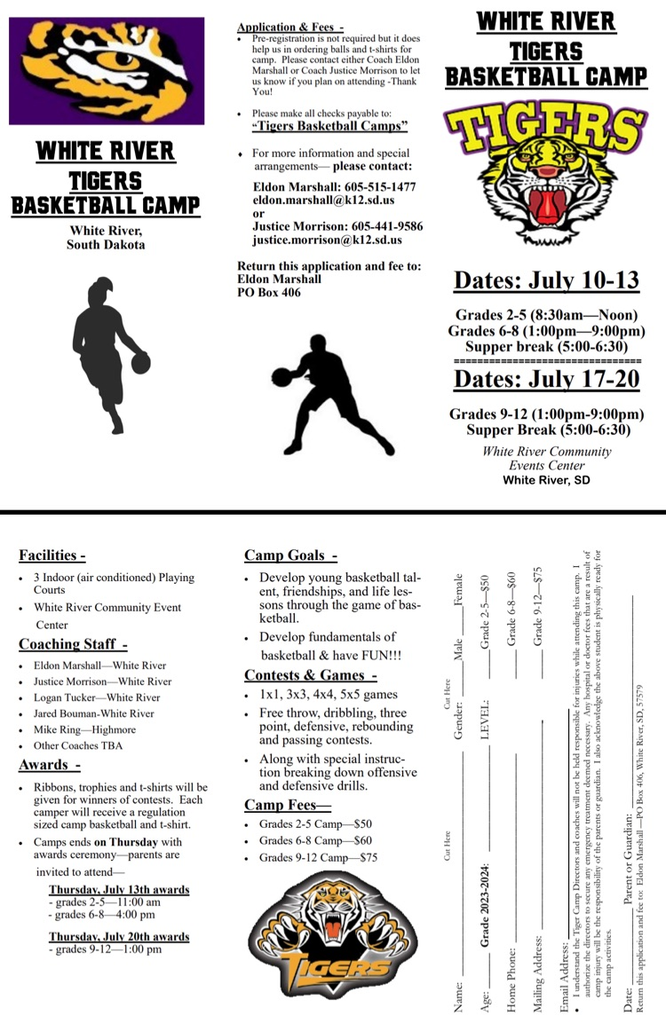 TIGERS BB CAMP FLYER